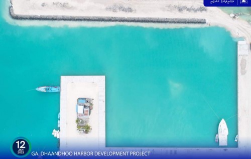 Dhaandhoo bandharu hedhun: Beyruthoshi lumuge 55 percent massaikai nimijje