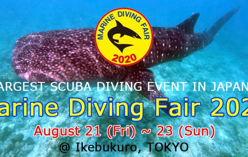 Maldives wins a Dream Dive Destination Award at Marine Diving Fair