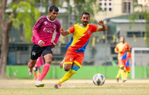 Stelco balikoh, Muiveyo semi ah