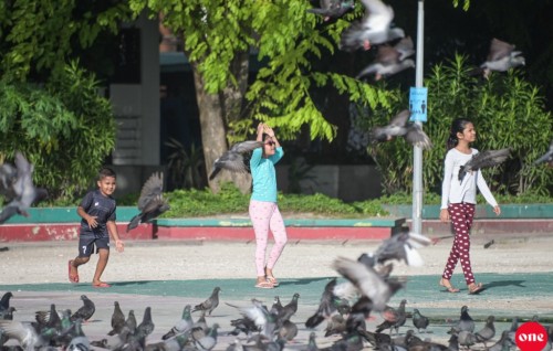 Vaccination of children to begin this month in Maldives with Pfizer