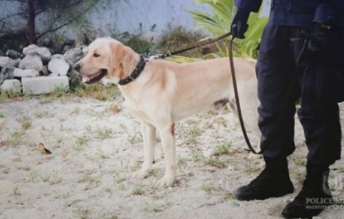 Operations in two islands arrest three with drugs