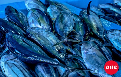 Fini kuri mahuge agu 20 rufiyaa ah, fini nukuraa mahuge agu 15 rufiyaa ah badhalukuran mashvaraa koffi