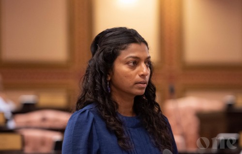 Deputy Speaker: Parliament has made whatever laws they wanted, government needs to take against the culprits
