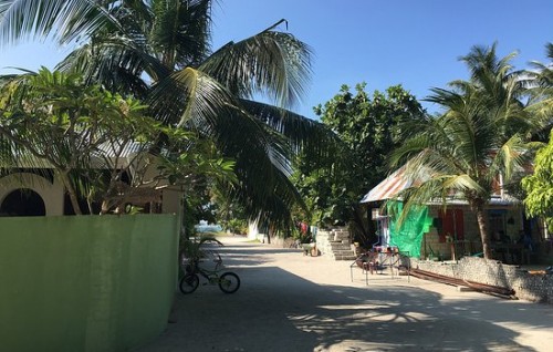 Firihen kujjakah jinsee goanaakuri kamuge thuhumathugai fehendhoo Council ge naib Raees hayyarukohffi