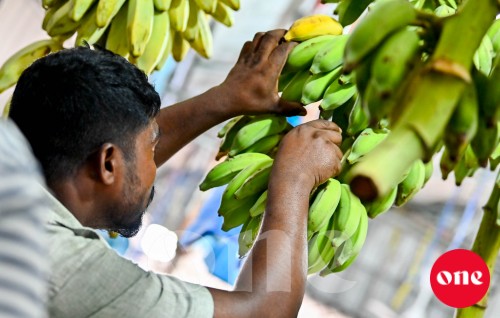 Roadha 14, one roadha baazaaru: aguthah ehvarehgai!