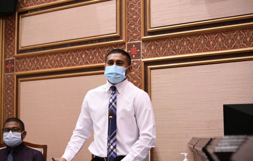 Ministry ge belumuge dhashugai huri bިinthah dhookurumah Economic Council ge lafayakah vanee hushahalhaifai: Minister Mahloof