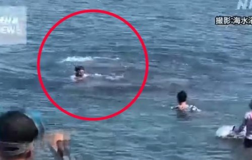 Japan gai koamaheh hamalaadhee 4 meehun zaham kohllaifi