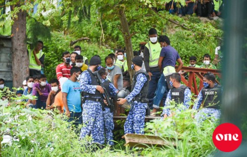 Gaumee salaamathah nurahkkaavaa hisaabah bidheyseenge muzaaharaathah hingahjje: Fuluhun