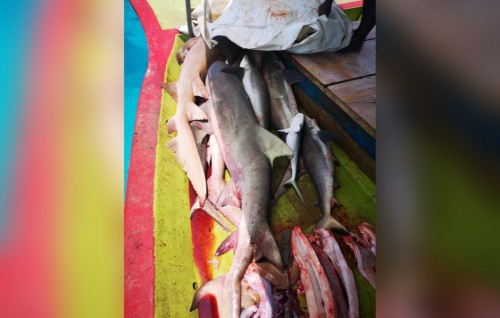 Gina adhadhehge miyaraa eku dhoangneh athulaiganefi