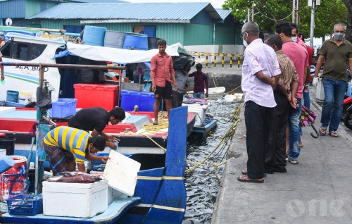 Mifco inn masdhoani faharah vihkkaa diesel ge agu anehkkaa ves heyokoffi