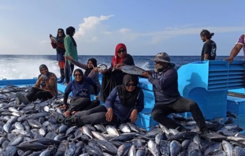 #Photo: Naifaru kanbalunge kaamiyaabu masdhathuru