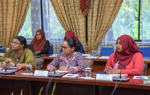Independent Committee didn’t pass motion to send removal ACC members to Parliament floor
