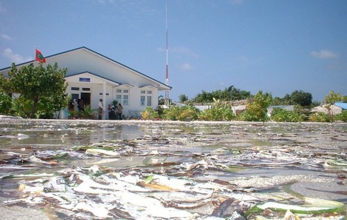 Tsunami eriiru huree konthaaku?