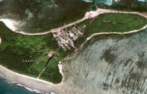L. Gaadhoo gai hadhaa viyafaari bandharuge feasibility vanee hadhaa nimifai: Raees