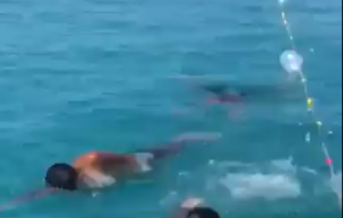 Man fulfils pledge of swimming for 24 hours if MDP wins over 50 seats