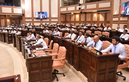 Vote libey adhadhah balaigen party thakah faisaa dheygothah gaanoonah badhalu genaumah majlis in faaskoffi