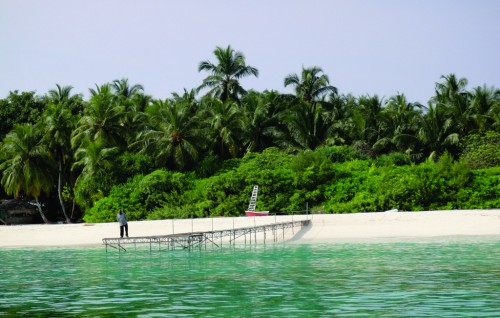 Sarukaarun Hibalhidhoo  athulee rangalhah kamah Supreme Court in nimmaifi