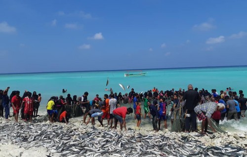 Nolhivaranfaru Dhonfalhu Rimmahun kalhuvefai, rayyithun mas hifumuge foareegai