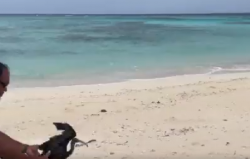 Hifahatiagen gengulhunu 2 dhoonyeh minivan koffi