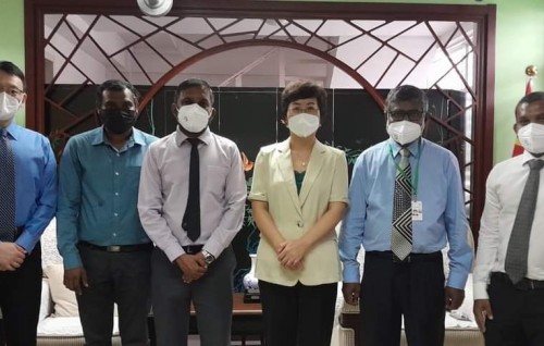 Dhivehi noosverin ah China in thamreenu furusathu thah hoadhai dhinumah mashvaraa kohfi