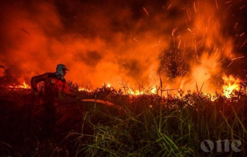 Indonesia arrests nearly 200 over raging forest fires