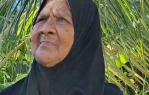 Gamun gehlligen hoadhamun dhiya meehaa fenijje, haalu rangalhu
