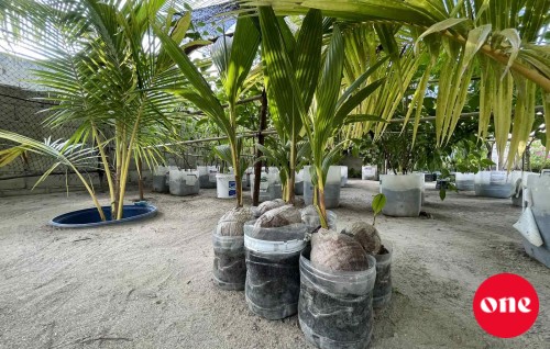 Hulhumale' gai Run indhumuge bodu harakaatheh kuriyah gendhanee