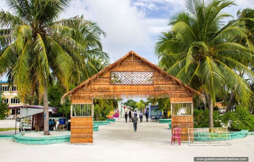 146 samples from Himmafushi return as negative