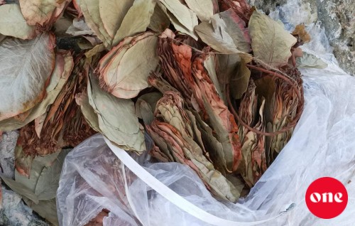 Th. Atholhuge 2 rashakah goiy neyngey faithakeh lahgaifi