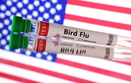 US reports first bird flu case in a child