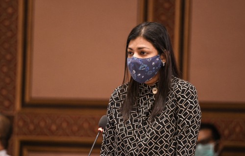 Raees Yameen ge sarukaarun dheenee kankan kuriaruvan vaki haassa kameh nukurey: Rozaina