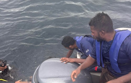 Safari in kandah vettunu meehaa maruvefai ovvai fenijje