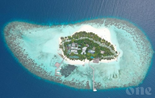 Another Maldivian in Maldives tests positive for COVID-19