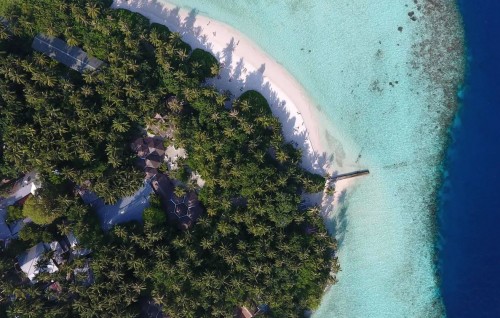 Biyaadhoo aai Sangelin positive vee meehunge adhahdhu 100 in mahchah