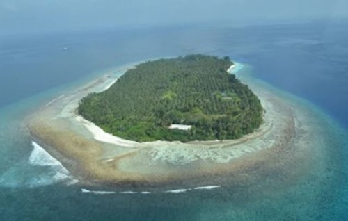 Ruh aalaakuran, Ariyadhoo Agriculture ministry ah nagaifi