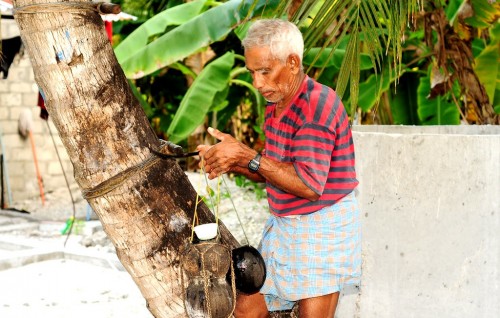 Dhivehi Karuhakuru: Rohttaa jahaigen kaan adhives ehvvana
