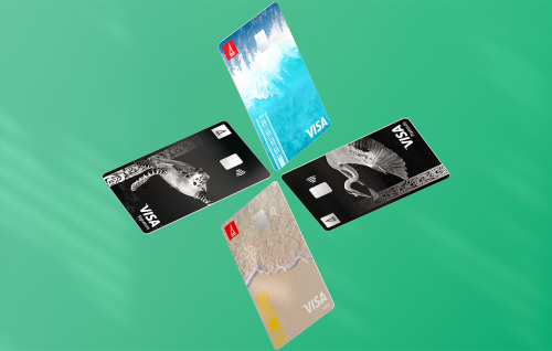 Anna mahun feshigen BML credit cardge dollar limit 2 guna boduvaane