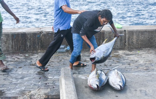 Masverinnah faisaa jamaakuran fashaifi, maadhamaa ge niyalah faisaa jamaakoh ninmaaleveyne: Shiyam