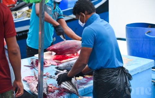 President spotlights on fisheries and agriculture industries as prospects for further development