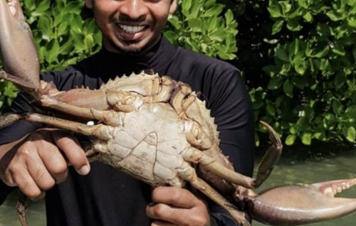 Raajjeygai 