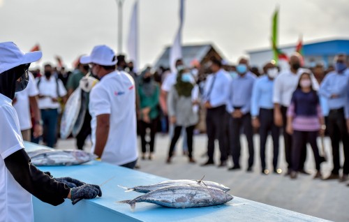 Masveringe dhuvahuge rasmee haflaathakah  proposal ah  hulhuvaalaifi 