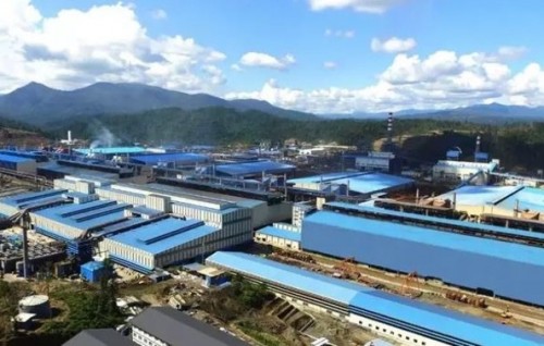 Indonesia ge plant eh govai 13 meehun maruvejje