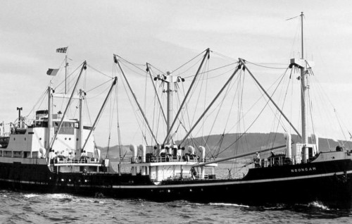Australia in meege 55 aharu kurin gellunu boat eh kanduge adin fenijje