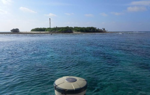 Addu bridge ge masahkathah fannee lafaa dheyne bayaku hoadhan iulaan koffi