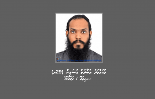 Cannabis traffic mahsala akaa gulhigen meehaku hoadhanee