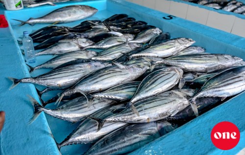 Mas ganna agu 20 rufiyaa ah dhahkuran economic council in ninmaifi