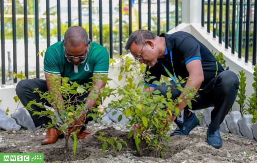 Thimaavesheege dhuvas faahaga kuran Fen kunfunin gina harakaaiy thakeh kuriah gengossfi