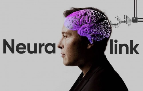 Insaanunge sikundeegai harukuraa chop eh Elon Musk ufahddhanee