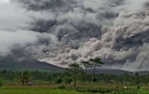 Indonesia ge alifaan farubadha eh govai, 13 meehaku maruvejje