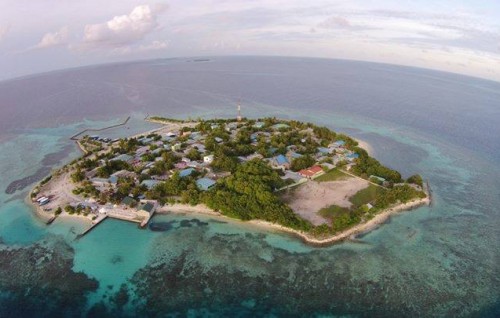 Bodufolhudhoo in doctor ah dhehki meehaku covid ah positive ve rah monitoring ah